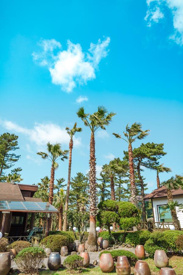 ג'גו Bijarim Resort מראה חיצוני תמונה